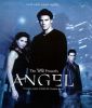 angel add.jpg